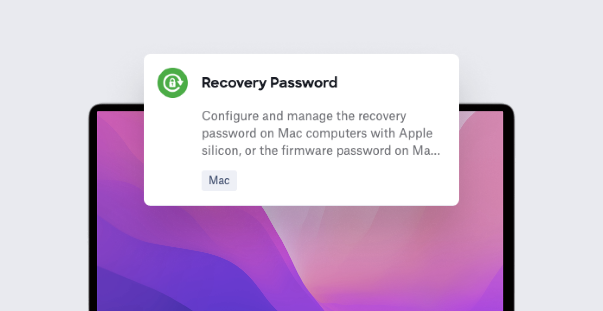 New Recovery Password Library Item Thwarts Unauthorized Startups