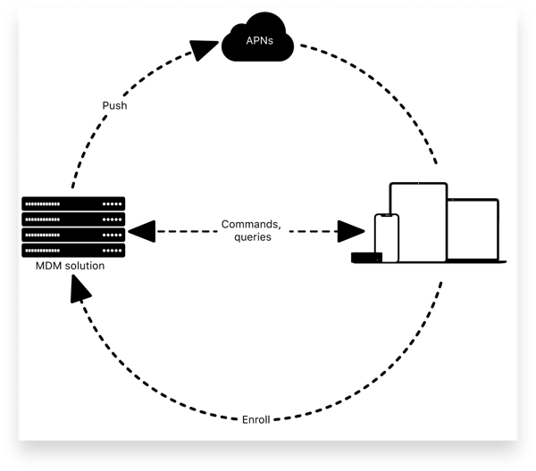 APNs diagram_shadow