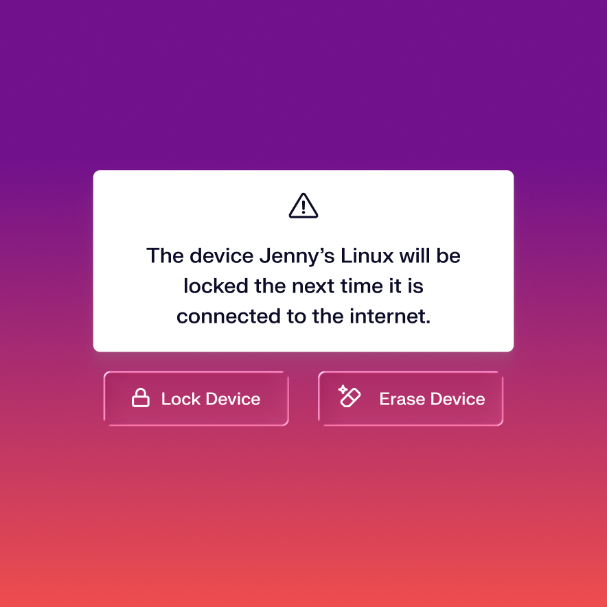 Device Lock _ Erase