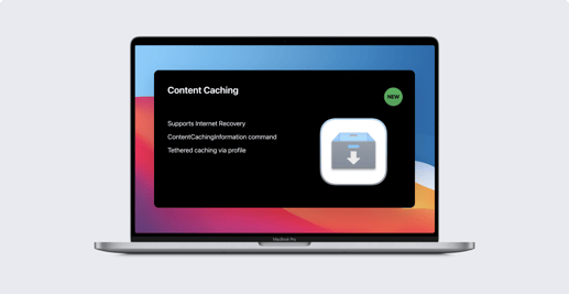 Guide for Apple IT: Content Caching in macOS Big Sur