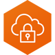 AWS VPN Client